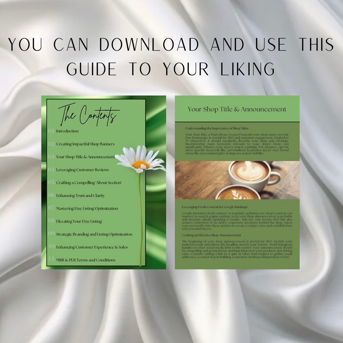 How To Become An Etsy Seller, Start A business Digital Guide, Digital Product For Beginners, PLR Product