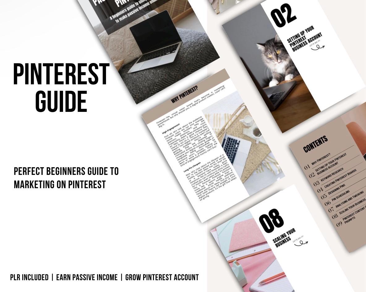 PLR Pinterest Guide for Passive Income, Pinterest Marketing Digital EBook, Private Label Rights