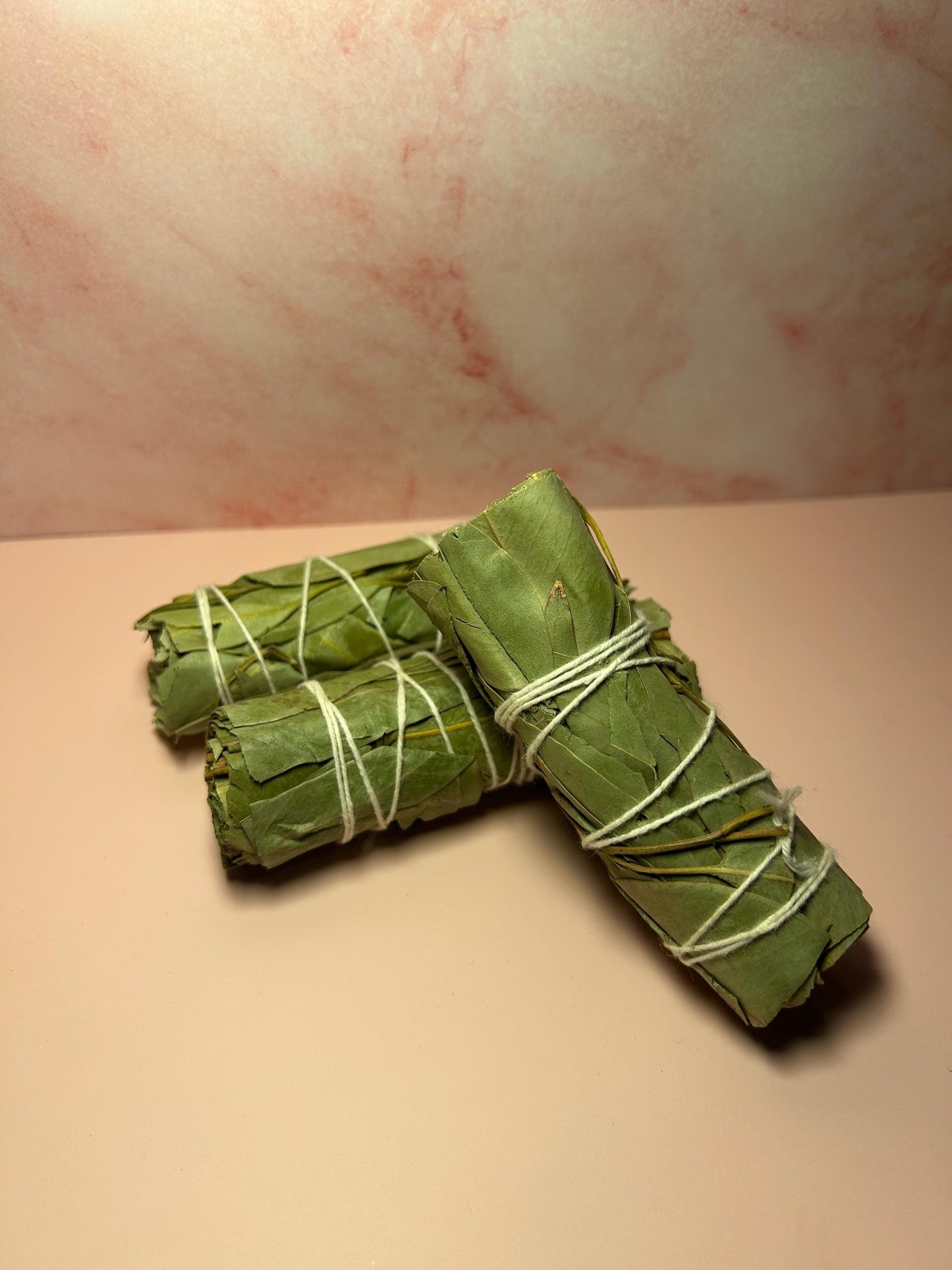 Eucalyptus Sage Smudge Stick for Cleansing, Healing, and Protection, Herbal Smudge for Energy Clearing, Meditation, Reiki, Spiritual Gift