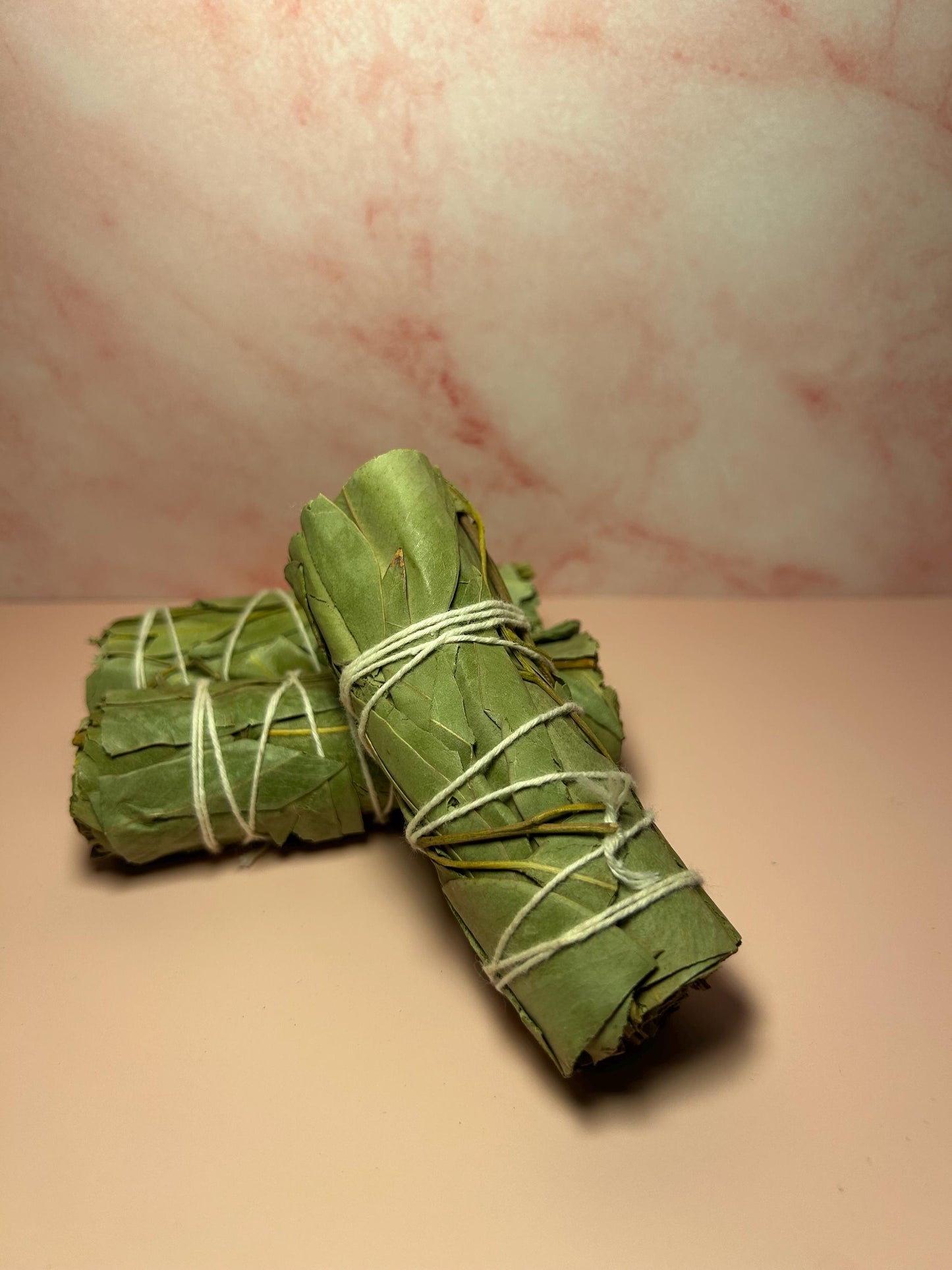 Eucalyptus Sage Smudge Stick for Cleansing, Healing, and Protection, Herbal Smudge for Energy Clearing, Meditation, Reiki, Spiritual Gift