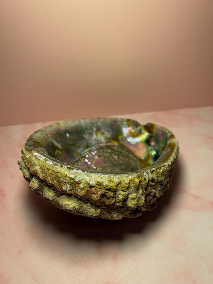 Green Abalone Shell for Smudging & Decor, Iridescent Shell for Cleansing, Rituals, Altar Use, Coastal Home Decor