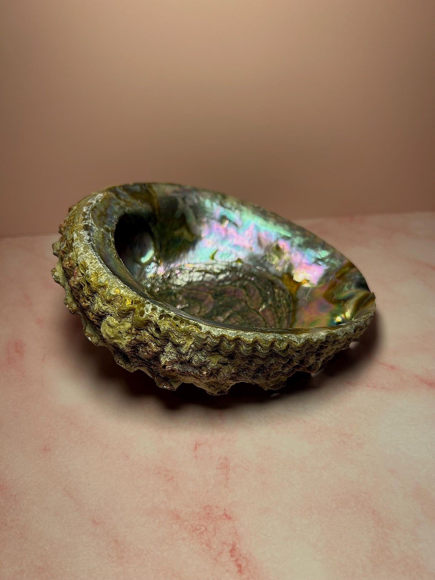 Green Abalone Shell for Smudging & Decor, Iridescent Shell for Cleansing, Rituals, Altar Use, Coastal Home Decor