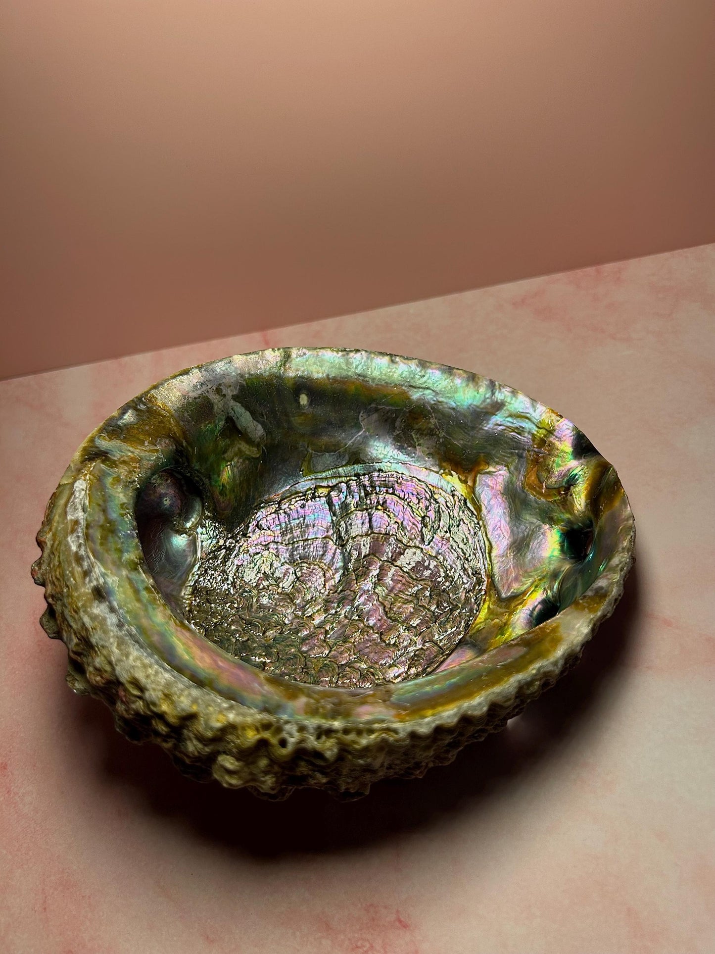 Green Abalone Shell for Smudging & Decor, Iridescent Shell for Cleansing, Rituals, Altar Use, Coastal Home Decor