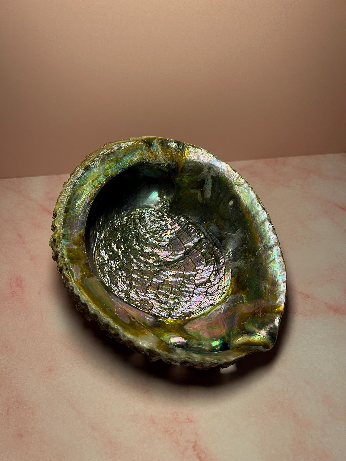 Green Abalone Shell for Smudging & Decor, Iridescent Shell for Cleansing, Rituals, Altar Use, Coastal Home Decor