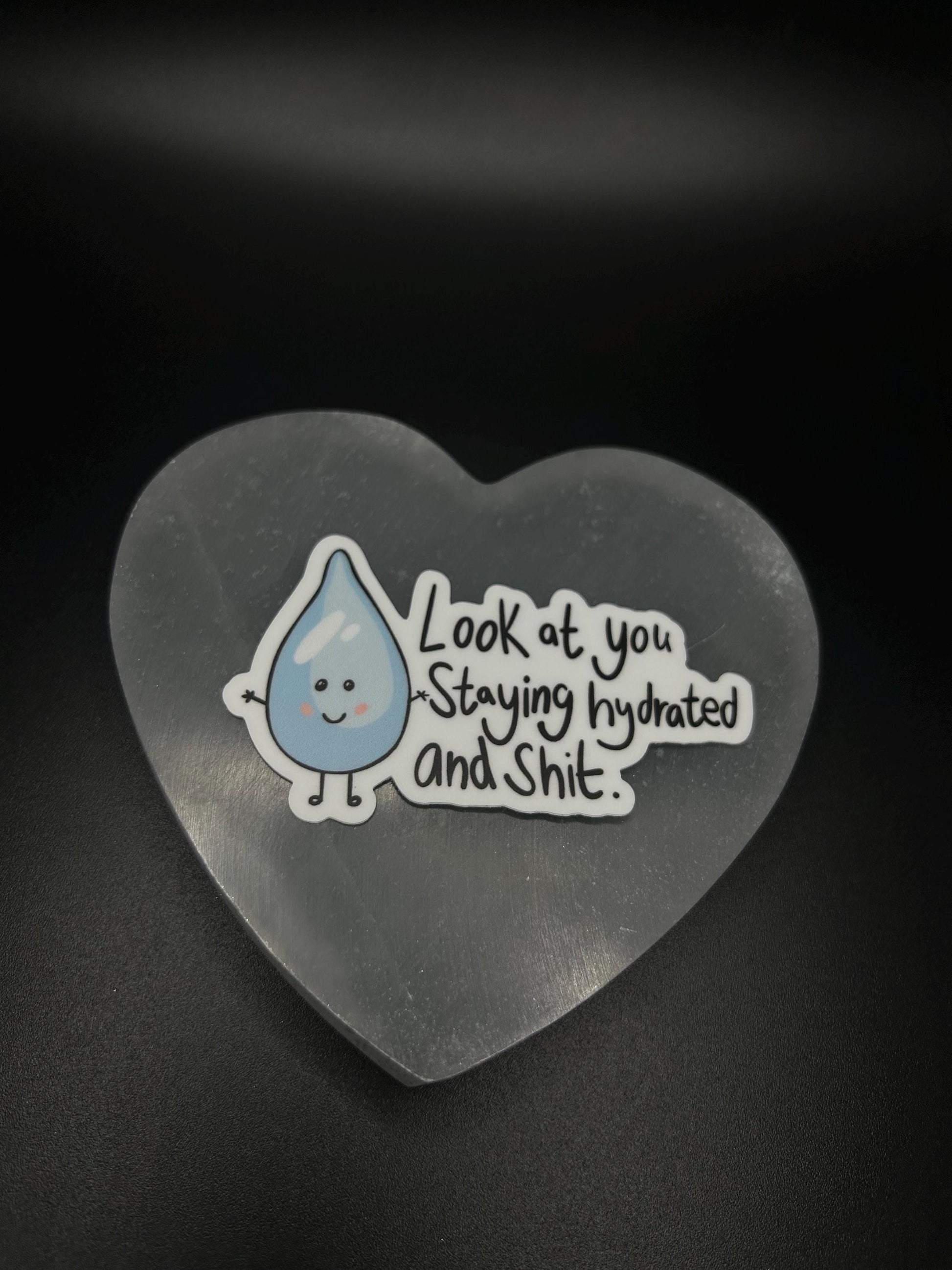 Funny Hydration Sticker, Look at You Staying Hydrated and Sh*t” Vinyl Sticker, Water Bottle Decal, Motivational Gift, Waterproof