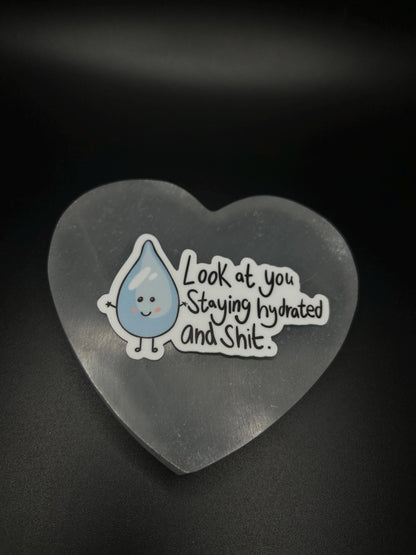 Funny Hydration Sticker, Look at You Staying Hydrated and Sh*t” Vinyl Sticker, Water Bottle Decal, Motivational Gift, Waterproof