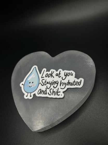Funny Hydration Sticker, Look at You Staying Hydrated and Sh*t” Vinyl Sticker, Water Bottle Decal, Motivational Gift, Waterproof