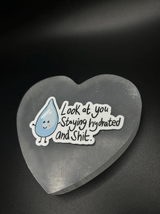Funny Hydration Sticker, Look at You Staying Hydrated and Sh*t” Vinyl Sticker, Water Bottle Decal, Motivational Gift, Waterproof
