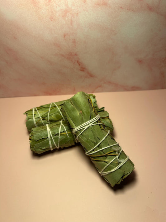 Eucalyptus Sage Smudge Stick for Cleansing, Healing, and Protection, Herbal Smudge for Energy Clearing, Meditation, Reiki, Spiritual Gift