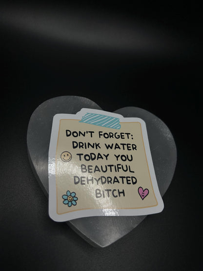 Funny Don’t Forget to Drink Water Sticker, Hydration Reminder Vinyl Decal, Cute Self Care Waterproof Sticker for Laptop, Water Bottle