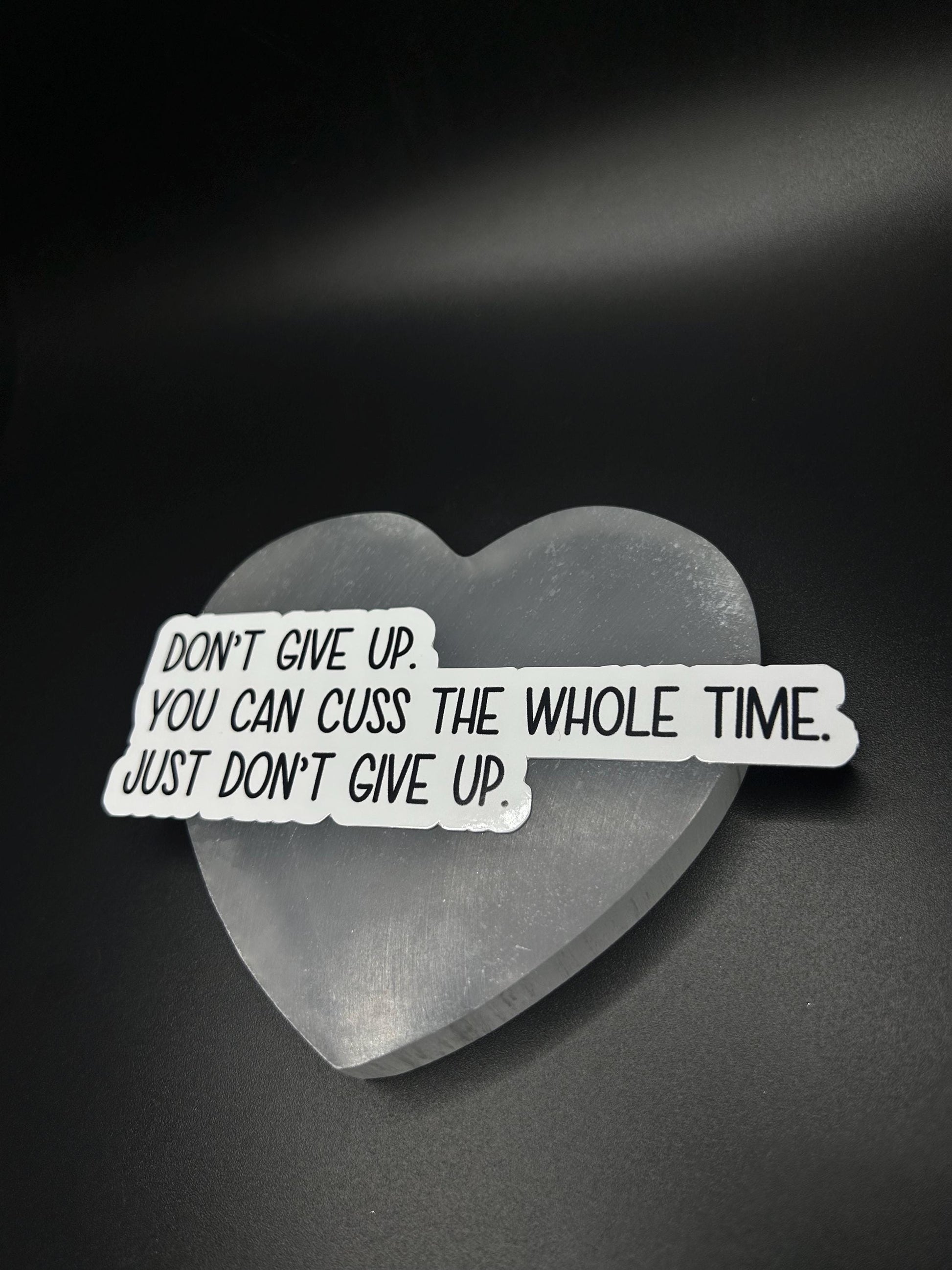 Don’t Give Up You Can Cuss the Whole Time Sticker, Funny Motivational Vinyl Sticker for Laptop, Water Bottle, Mental Health Gift