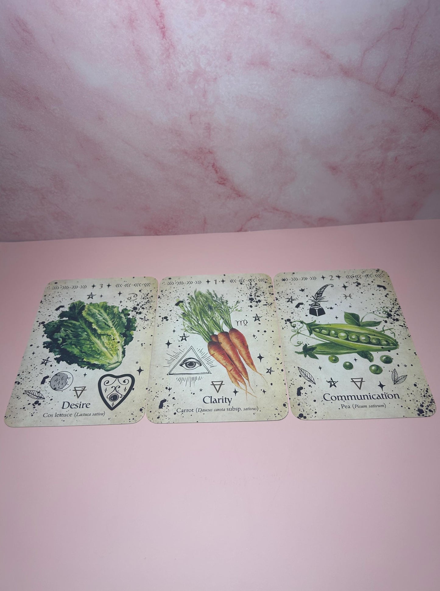 Green Witch Oracle Card Deck, Sacred Herbs Plants Flowers Folklore, Garden Magick Divination Deck, Witchcraft Healing Oracle Cards