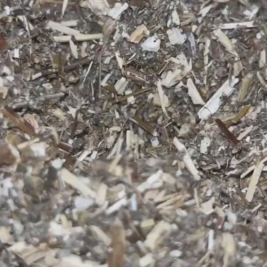 Mugwort Dried Herb, Dream Tea, Third Eye Herb