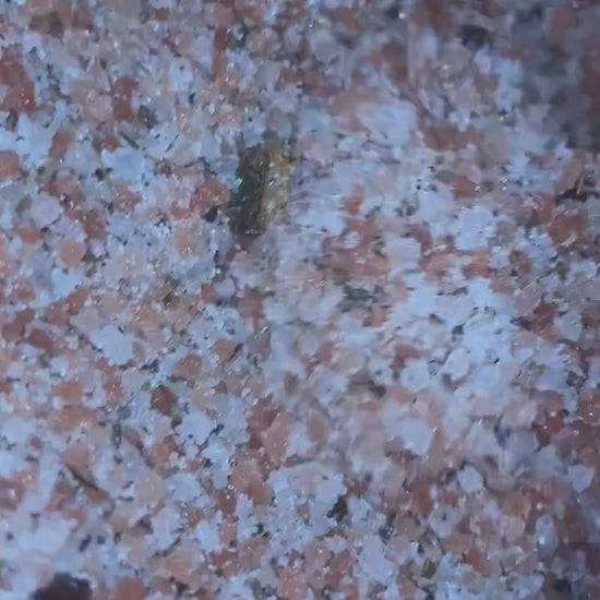 Enchanted Bath Salt for Attraction, Manifestation Ritual Spa Soak, Enticing Self-Care to Attract Love & Positive Energy