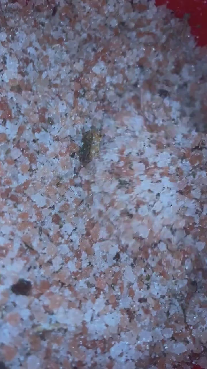 Enchanted Bath Salt for Attraction, Manifestation Ritual Spa Soak, Enticing Self-Care to Attract Love & Positive Energy